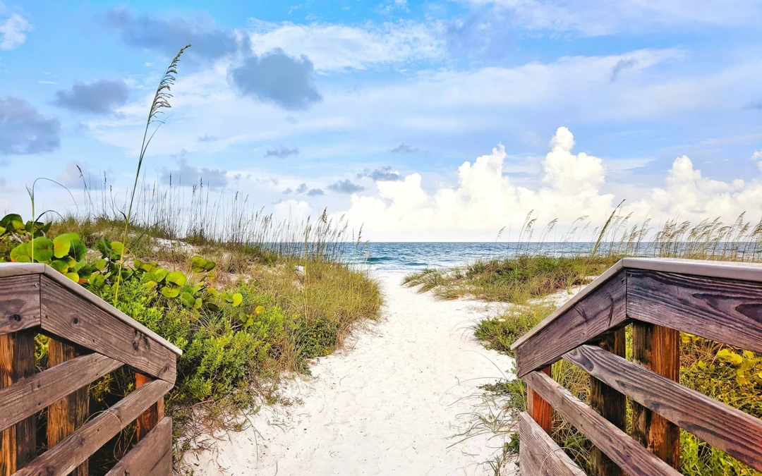 How a Clearwater Property Management Company Helps Your Real Estate Business Grow