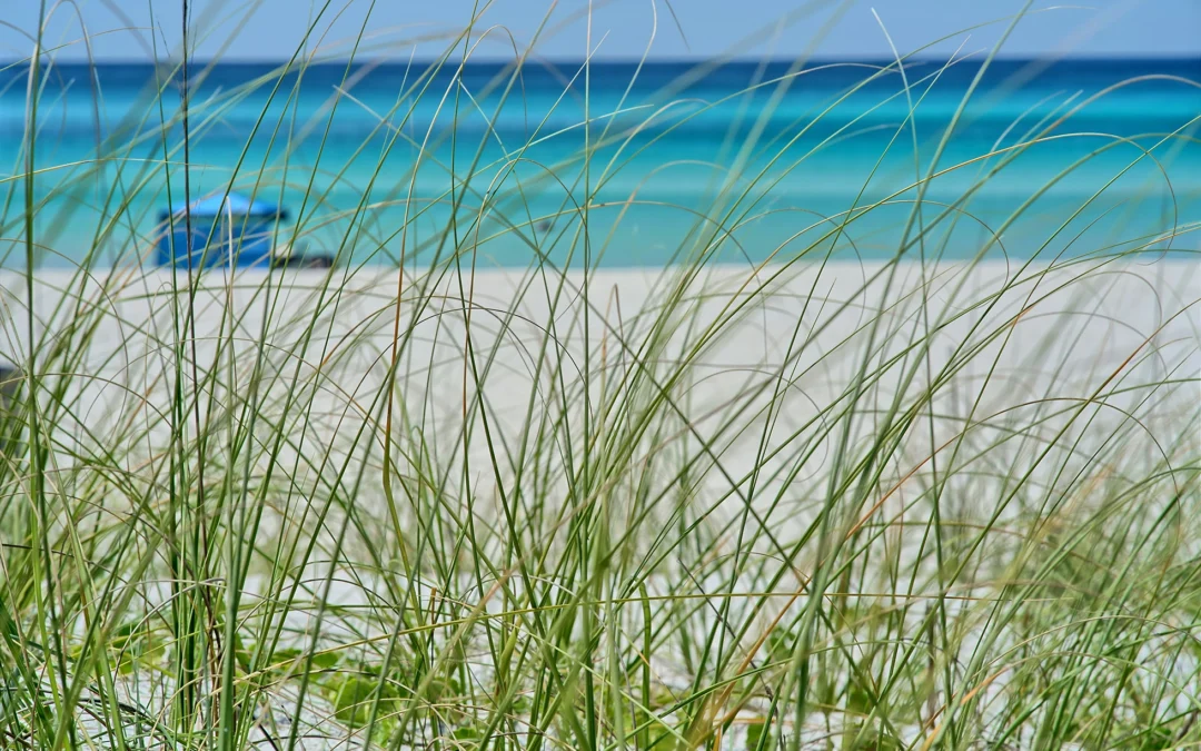 Normal Wear and Tear in St. Pete Beach Rental Properties: What Landlords Need to Know